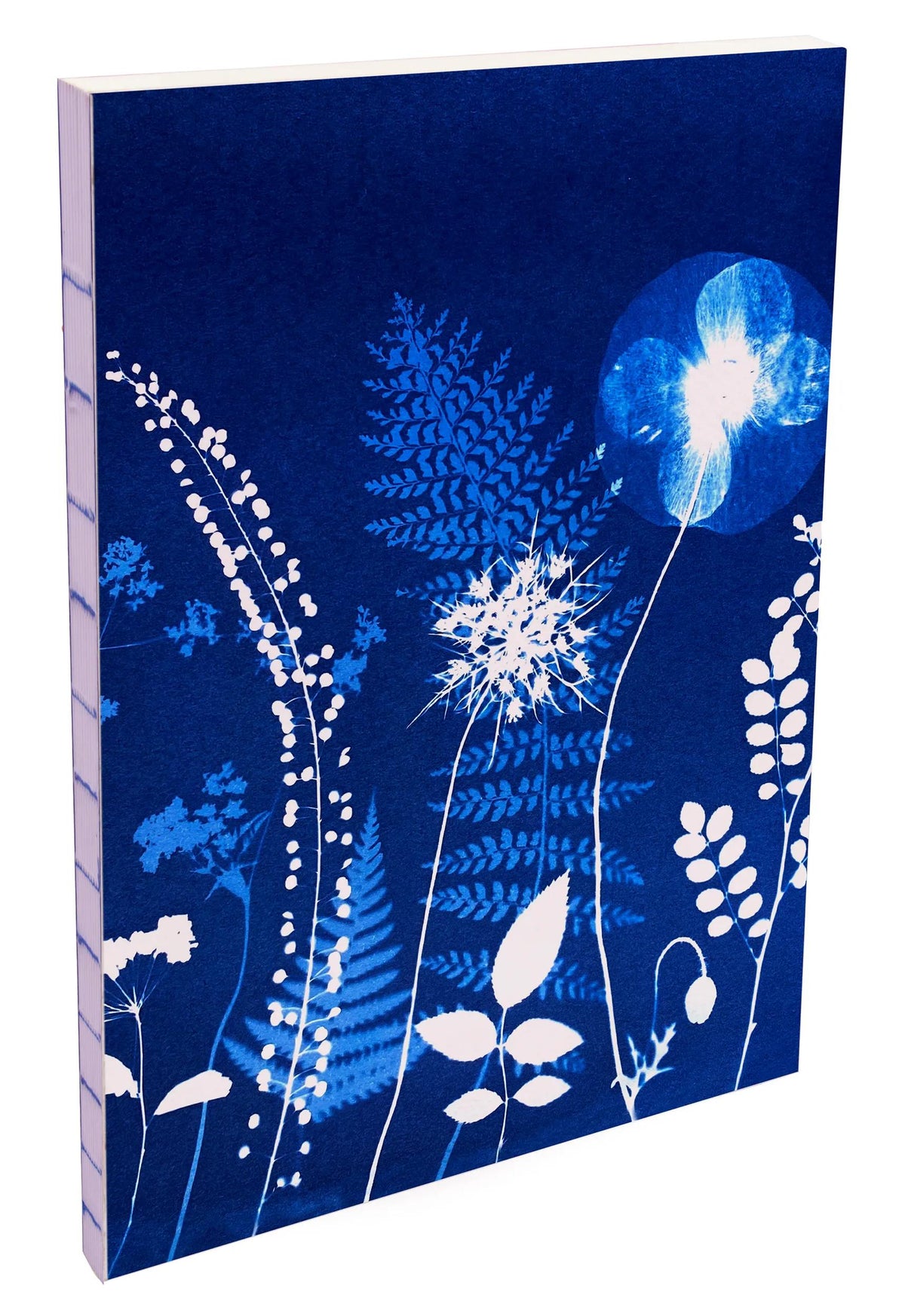 Cyanotyp, Booklet flexible Broschüre A5 14,8x21 cm, 160 Seiten, Zeile, roh zurück, Arsch. (4er-Pack)