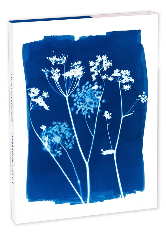 Cyanotype, Match Set 12x16.5 cm containing 8 single cards 11x15.5 cm assorted and 8 envelopes Pollen C6 natural white (Pack x5)