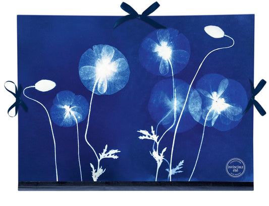 Cyanotype, Drawing cardboard 28x38cm, closure with 3 ribbons (Pack x5)