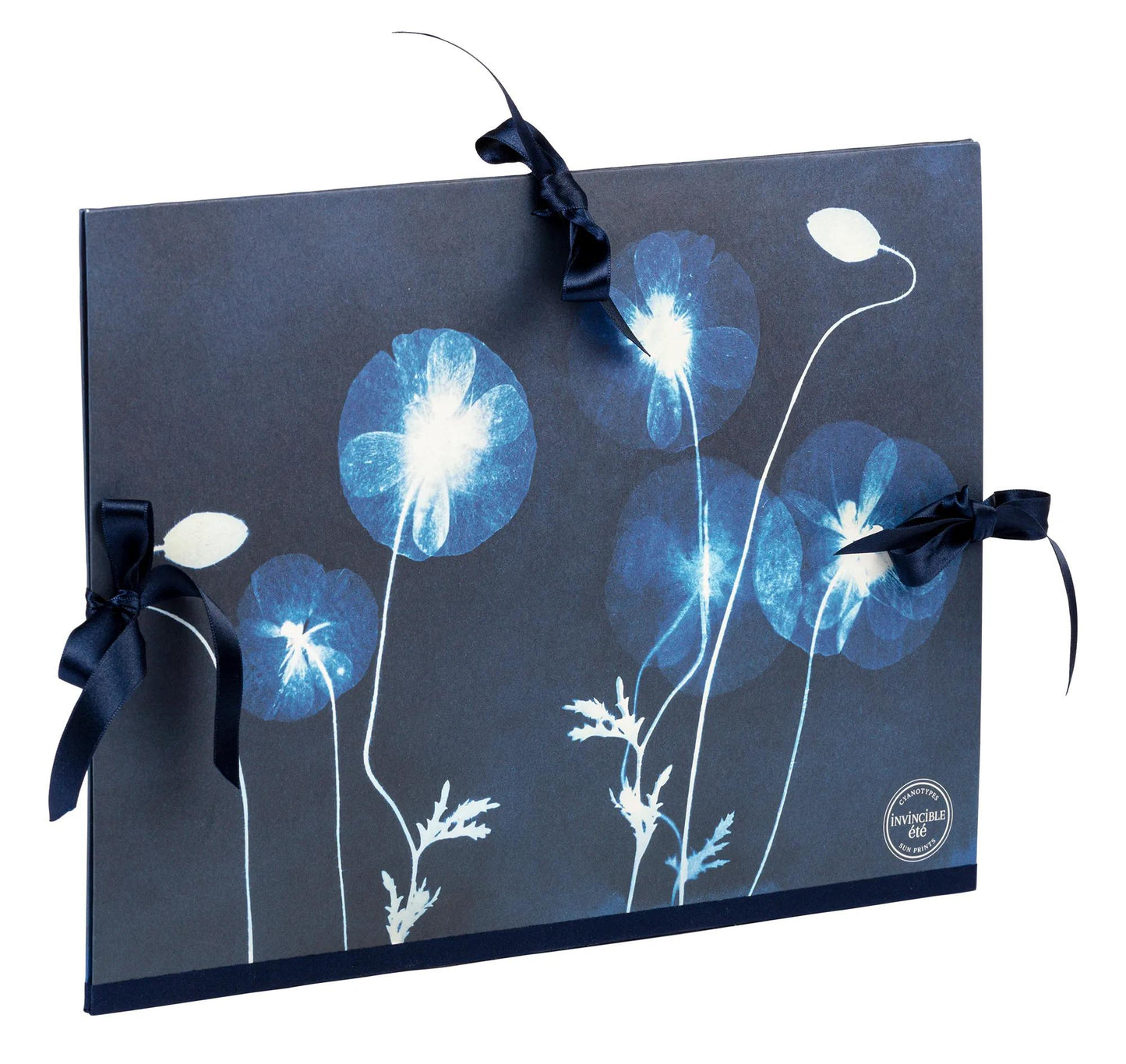 Cyanotype, Drawing cardboard 28x38cm, closure with 3 ribbons (Pack x5)