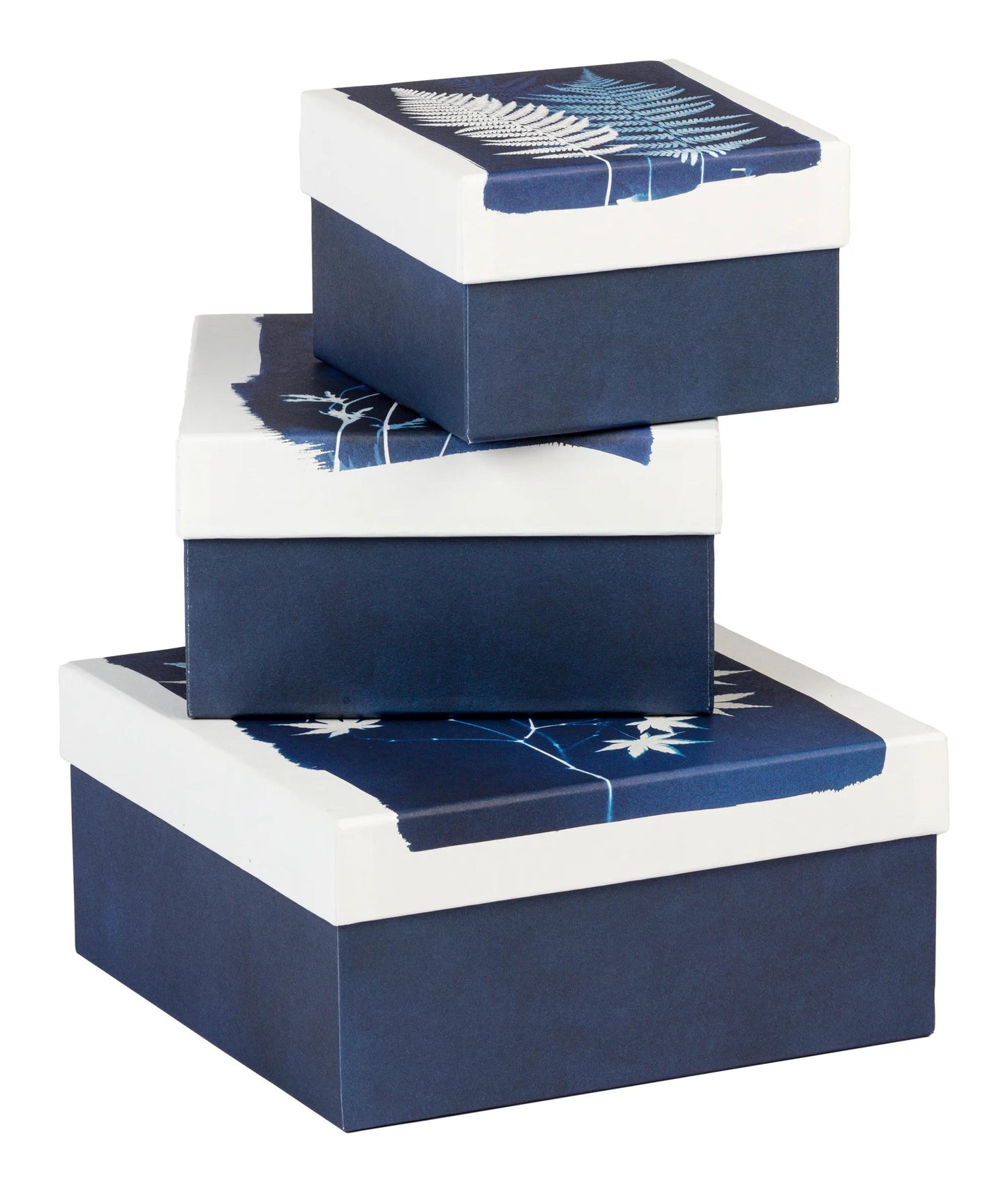 Cyanotype, Set di 3 caselle quadrate 25x25x12 cm, 20x20x11cm, e 16x16x10 cm (Pacchetto x2)