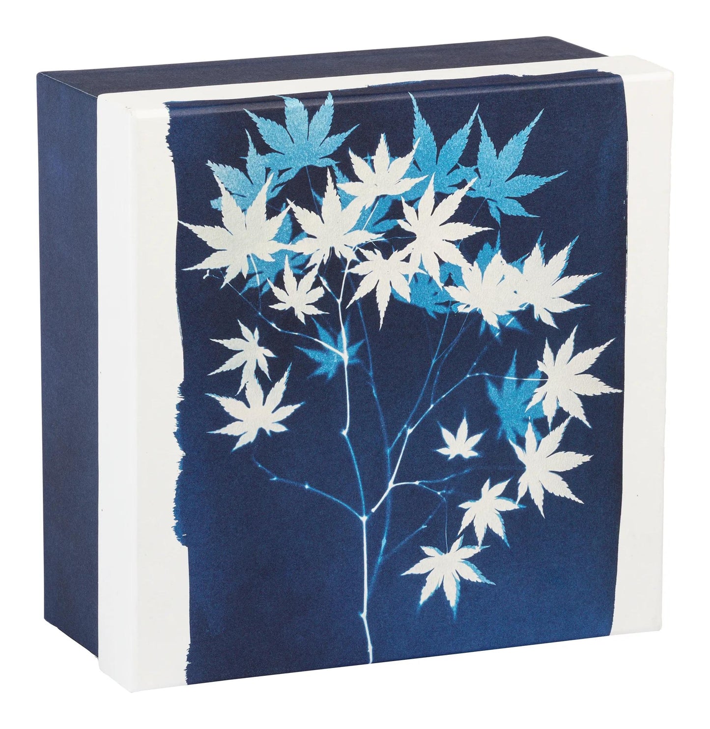 Cyanotype, Set di 3 caselle quadrate 25x25x12 cm, 20x20x11cm, e 16x16x10 cm (Pacchetto x2)