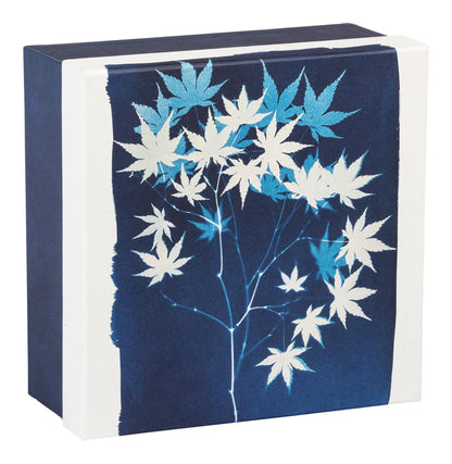 Cyanotyp, Set von 3 Quadratboxen 25x25x12 cm, 20x20x11cm und 16x16x10 cm (2er-Pack)