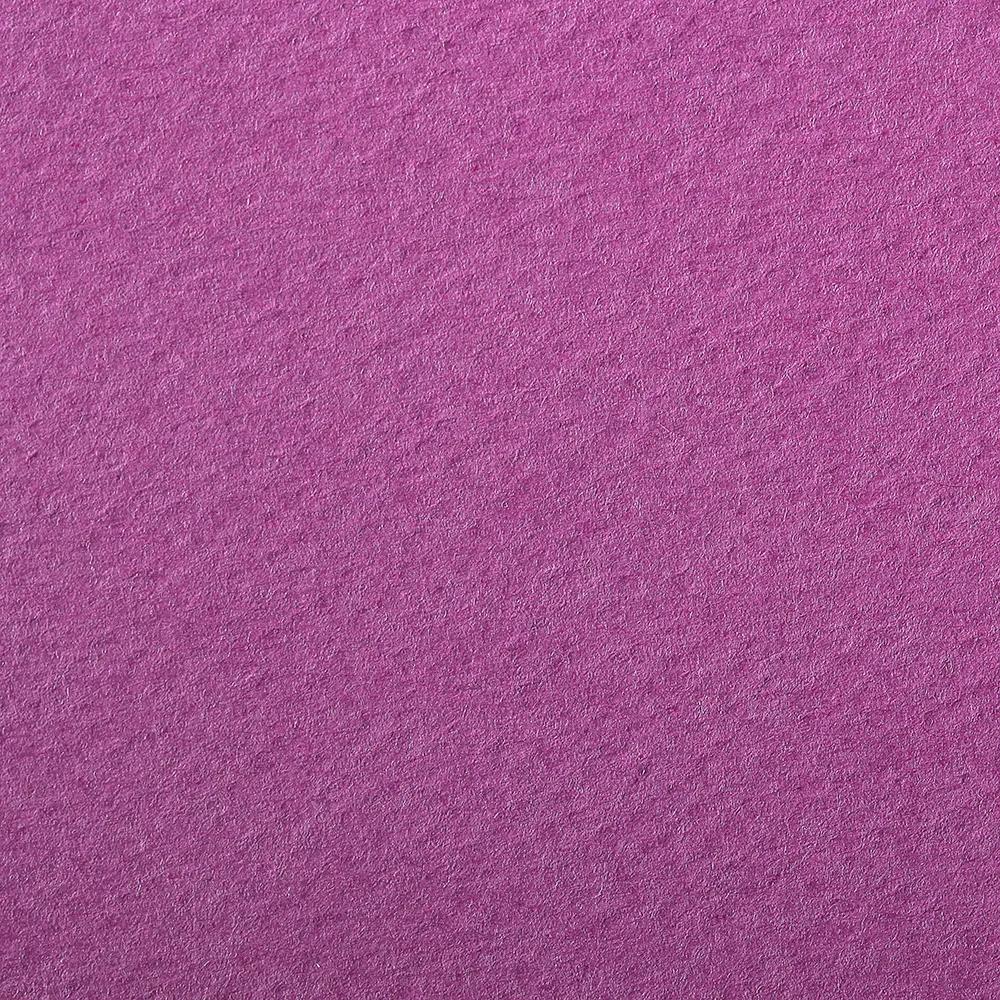 Pacchetto di colore Eival 25F A3 160g - Violet (Pacchetto x2)