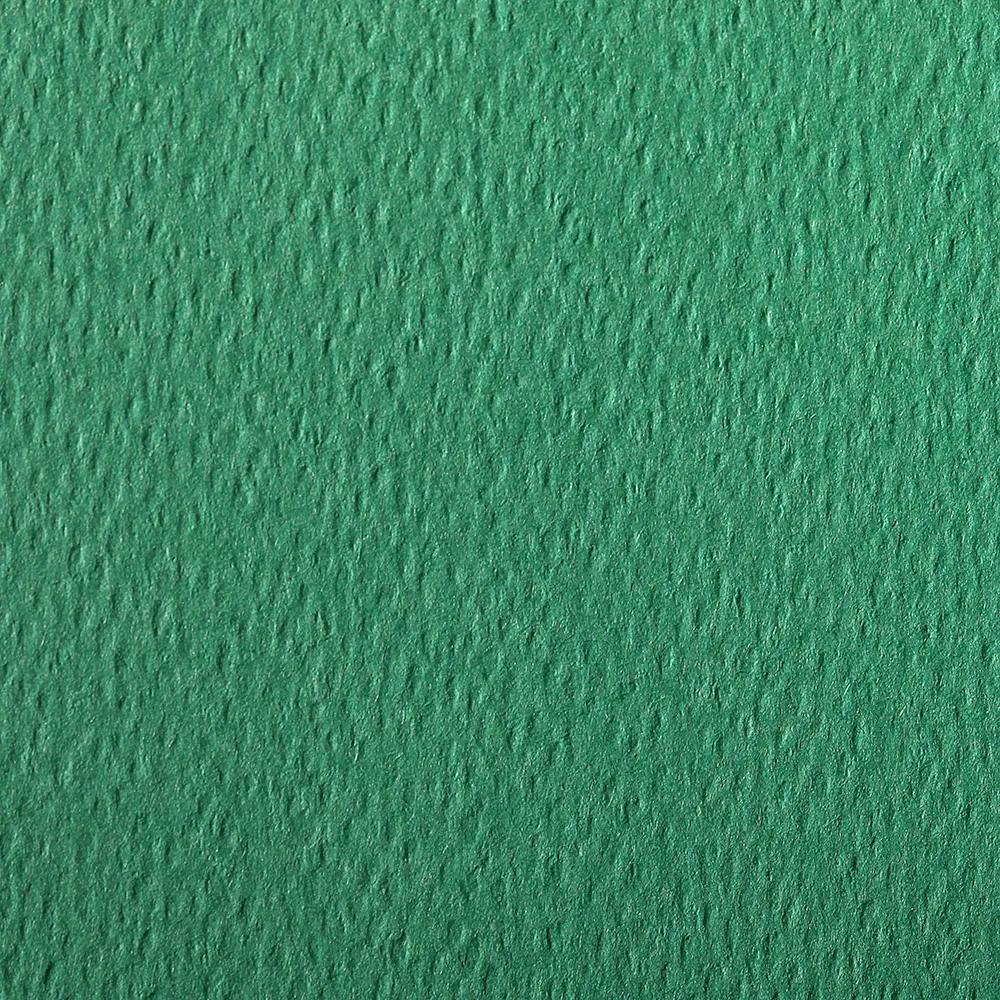 Etival Color pack 25F A3 160g - Dark green (Pack x2)