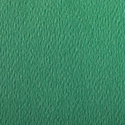 Etival Color paquet 25F A3 160g - Vert foncé (lot de 2)