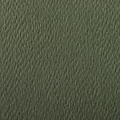 Pacchetto colore 25F A3 160g - Ocean Green (confezione da 2)
