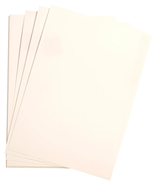 Pacchetto colore 25F A3 160g - Bianco (confezione da 2)