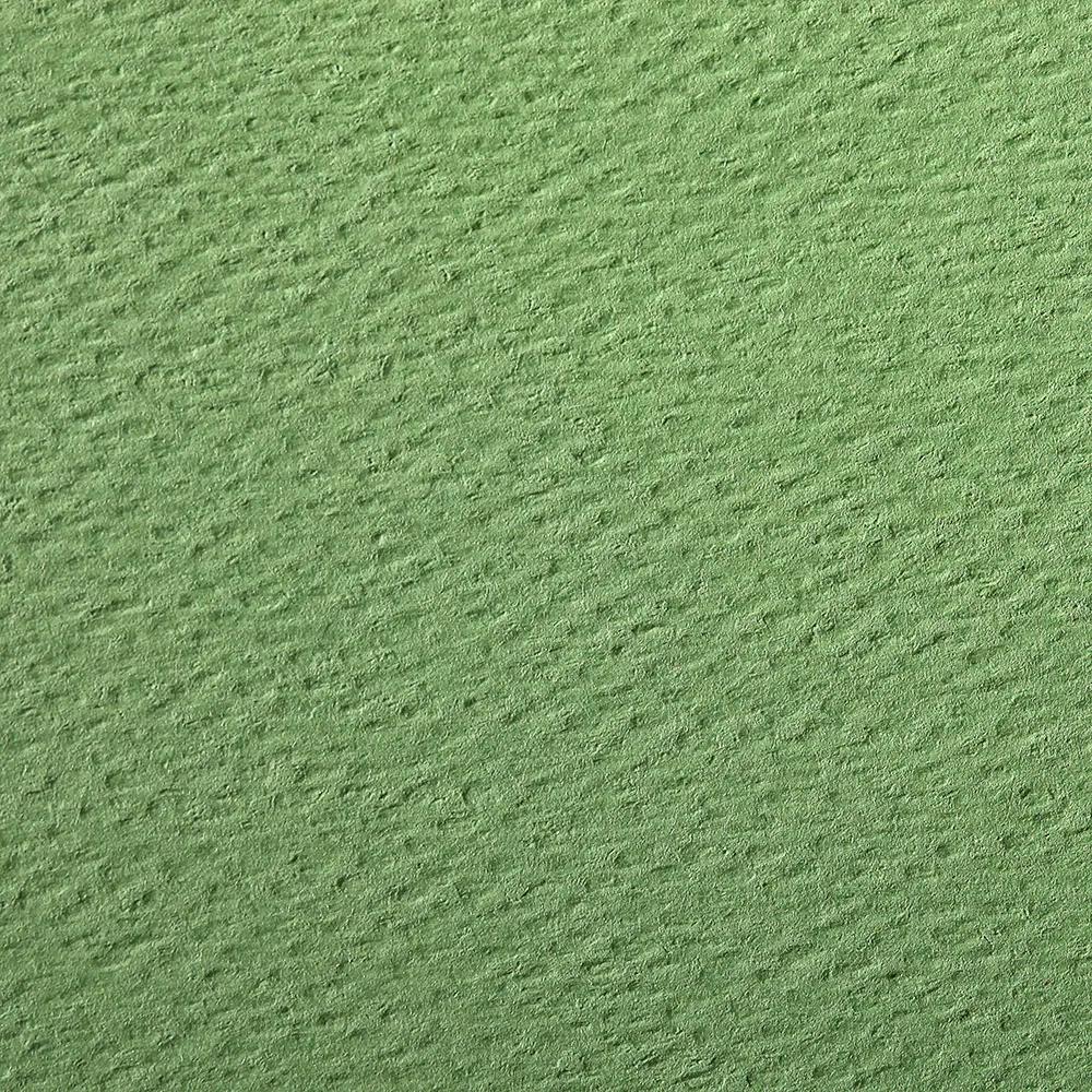 Etival Color pack 25F A3 160g - Apple green (Pack x2)