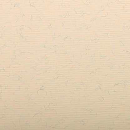 Ingres Pastelpackung 25F 50x65cm 130g - Marmorierte Creme