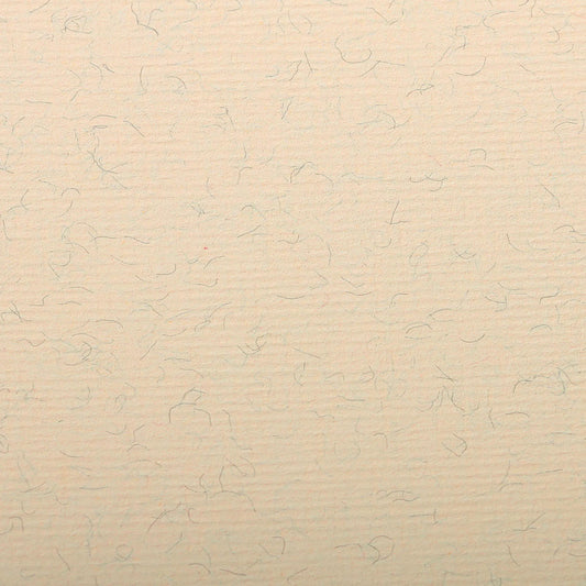 Ingres Pastel paquet 25F 50x65cm 130g - Crème marbrée