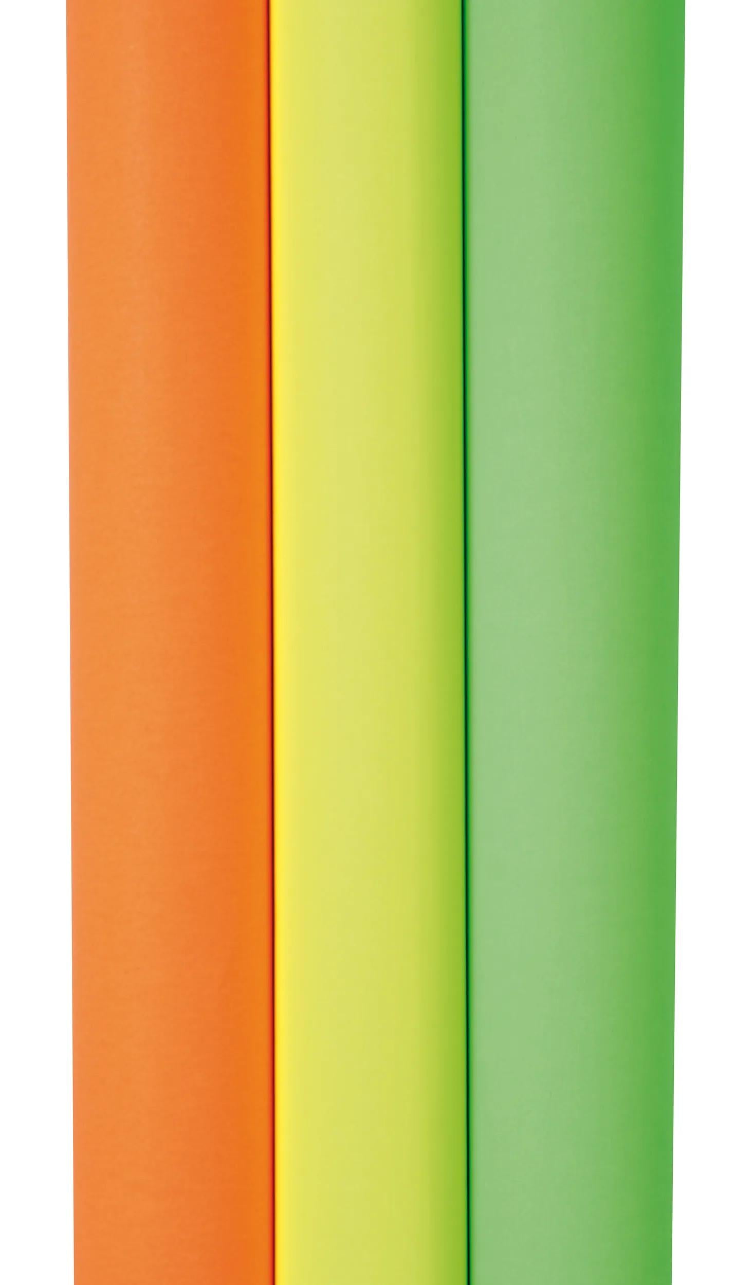 FLUO AFFICH PAPER, Roll of 10 sheets 90g/m2 in 60x80cm format - Assortment (Pack x5)