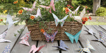 ORIGAMI, Pochette de 60 feuilles 70g/m2 au format 15x15cm - Jardin fruité - Multicolore (lot de 5)