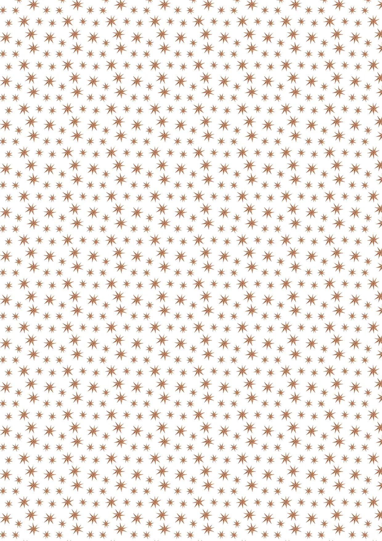 GEDRUCKT PAPIER, Block von 20 Motivplatten 160g/m2 im Format A4 (21x29.7cm) + 1 kreative Idee - Weihnachten gemütlich - Mehrfarbig (Paket x5)