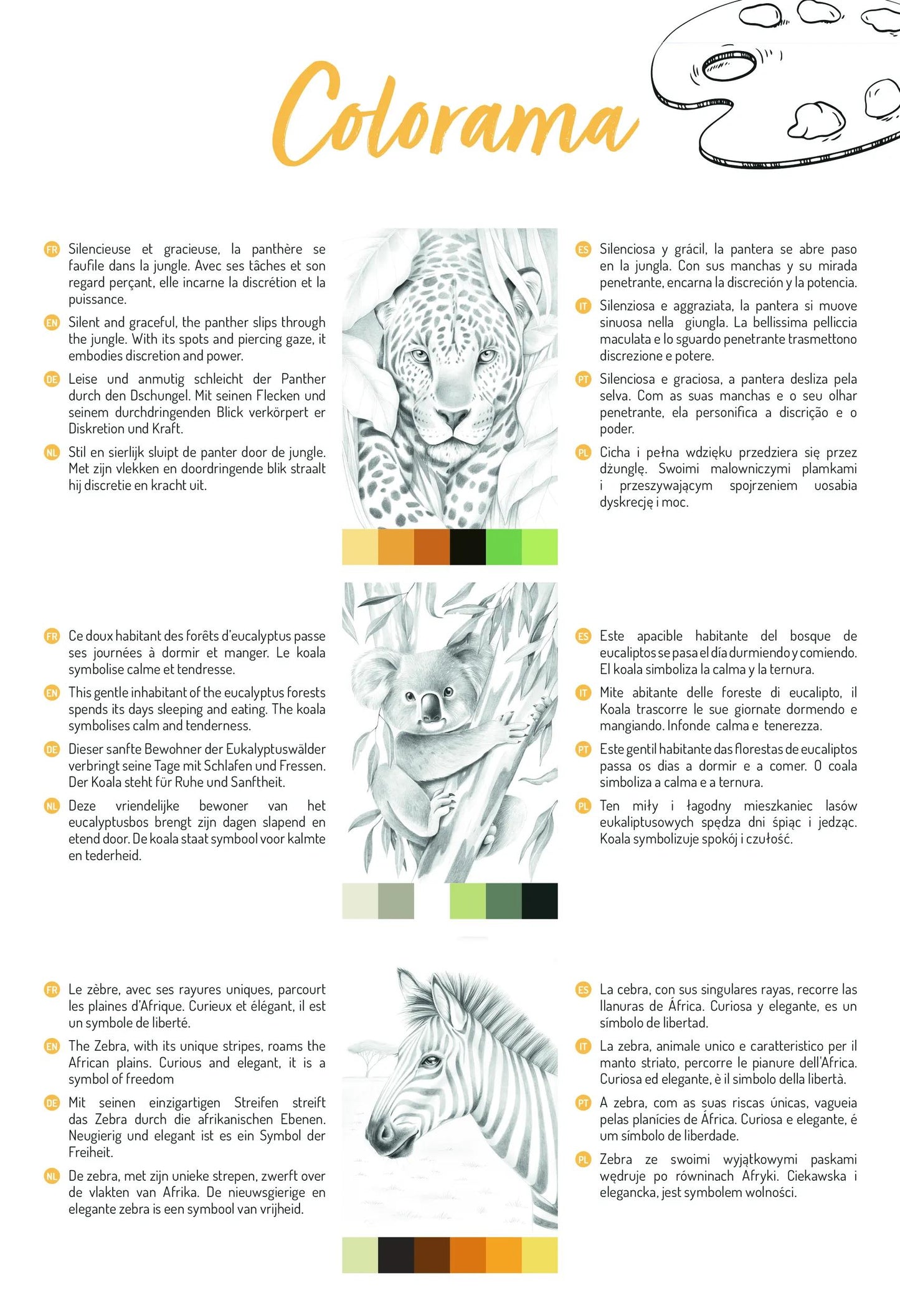 ODELIA, Blocco di colorazione multi-tecnica di 20 fogli A4 250g, Animali - Nuovo (Pacchetto x5)