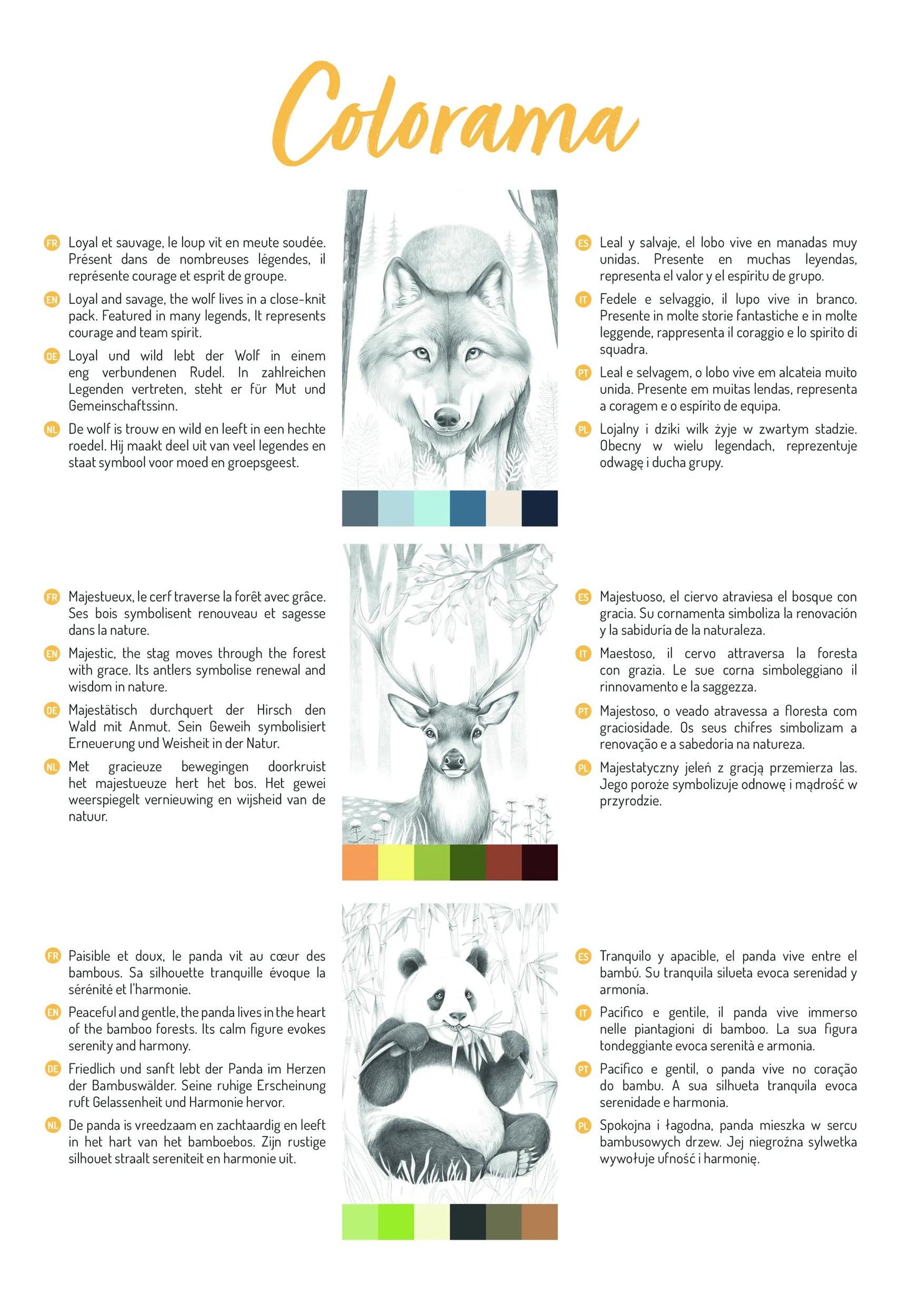 ODELIA, Blocco di colorazione multi-tecnica di 20 fogli A4 250g, Animali - Nuovo (Pacchetto x5)