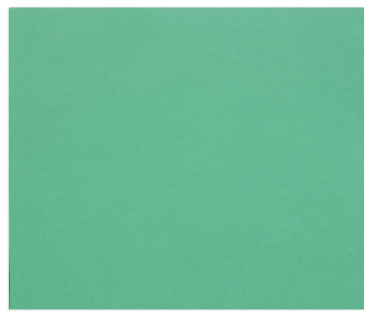 Tulipano fila 25F 50x65cm 160g - Verde scuro