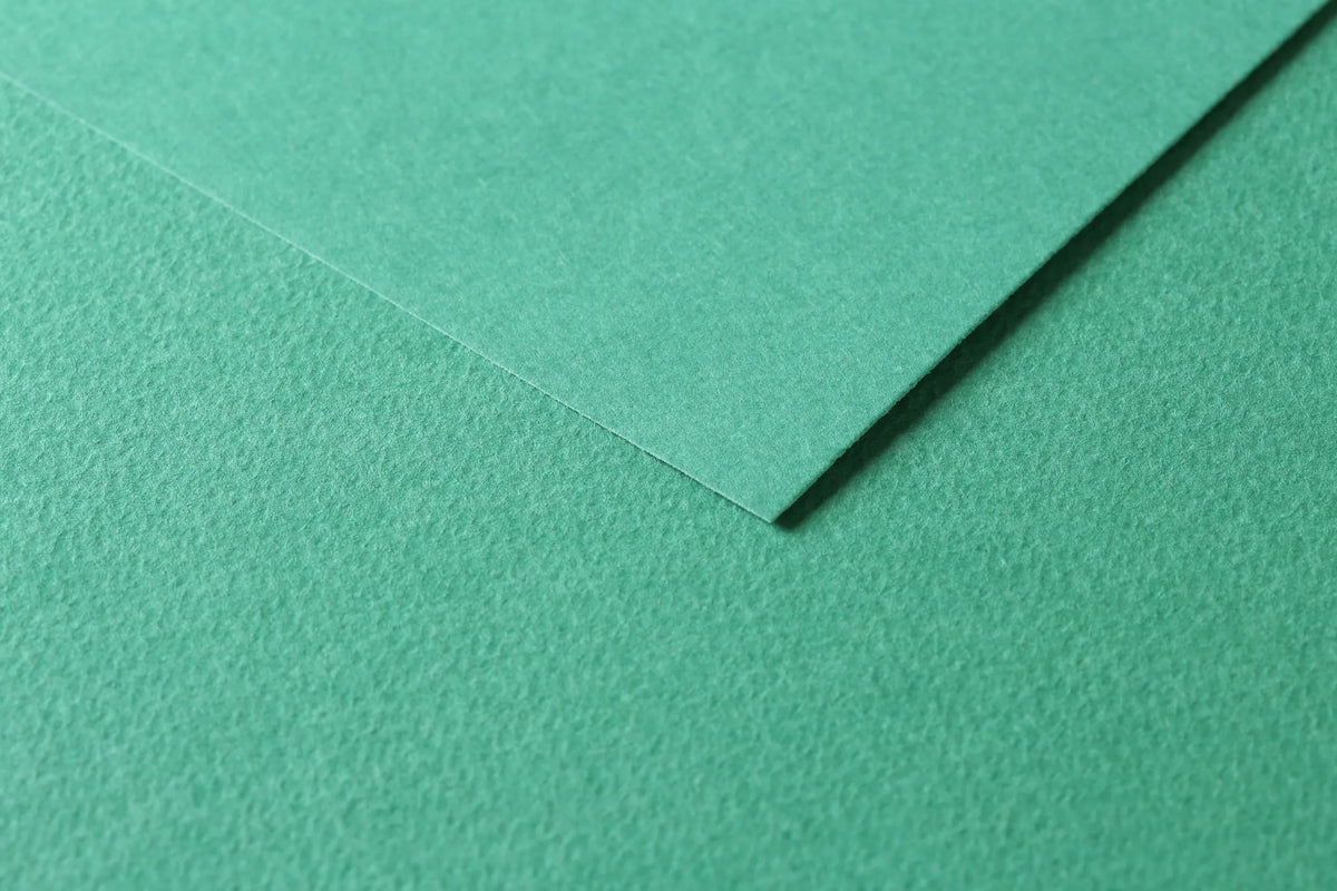 Tulipano fila 25F 50x65cm 160g - Verde scuro