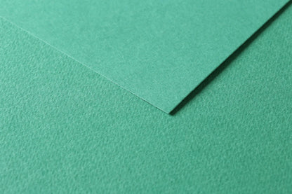 Tulipano fila 25F 50x65cm 160g - Verde scuro