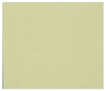 Tulipe rame 50F 50x65cm 160g - Vert tilleul