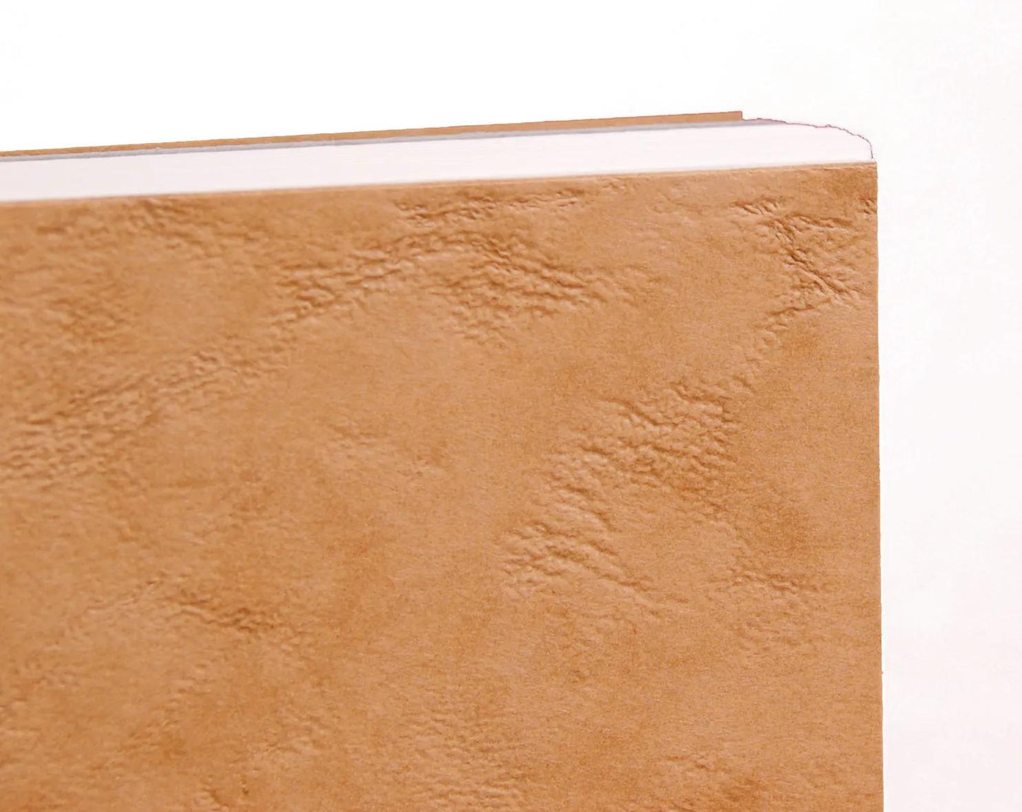 Carnet de Voyage aquarelle spiralé 20F A5 300g - Havane (Lot x2)