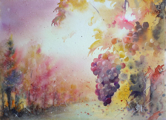 Fountain package fringed edges 5F 75x105cm 640g fine grain