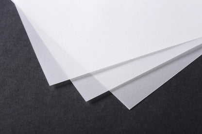 Portapacchi di carta 20F 24x32cm 90/95g (confezione da 10)