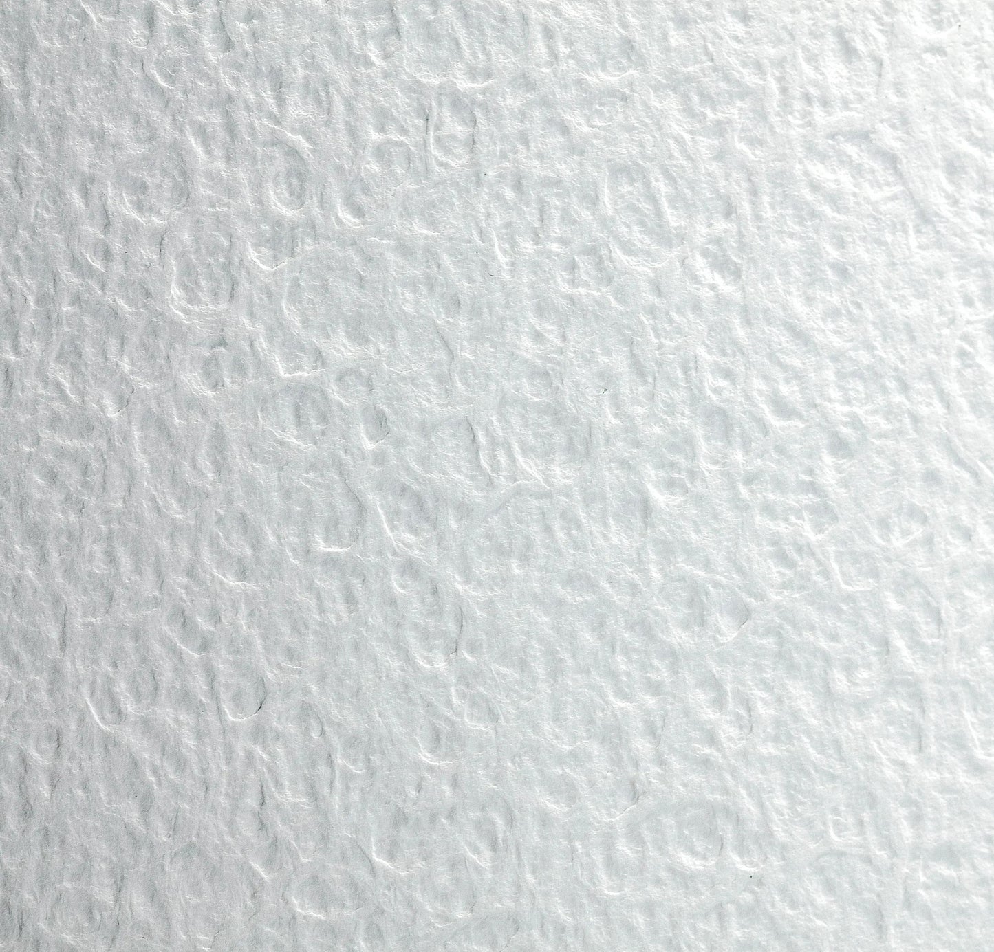Flamboyant pack bordi fringed 10F 50x65cm 300g