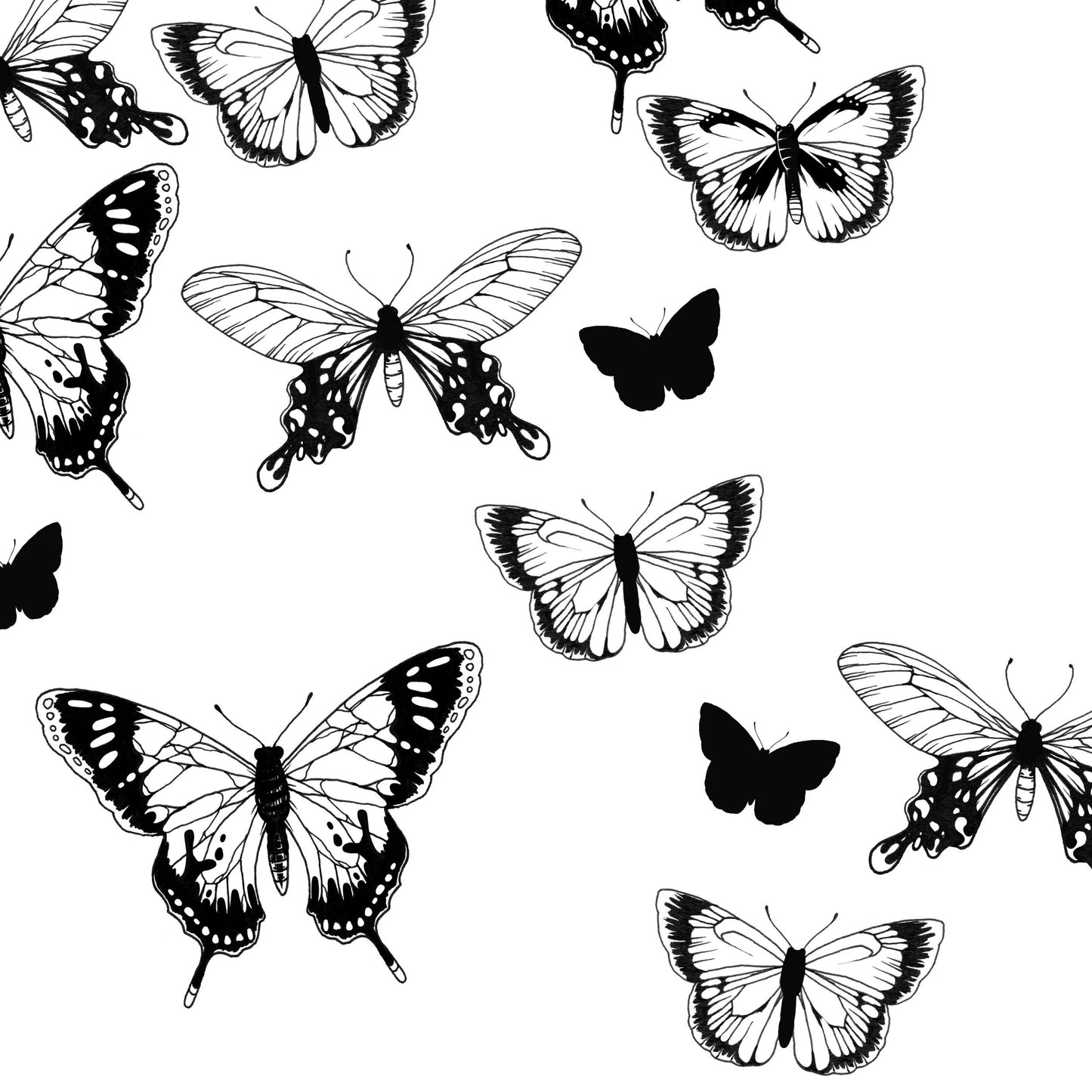 COLORING, libretto di 36 pagine 120g/m2 in formato 20x20cm - Farfalle (Pacchetto x5)