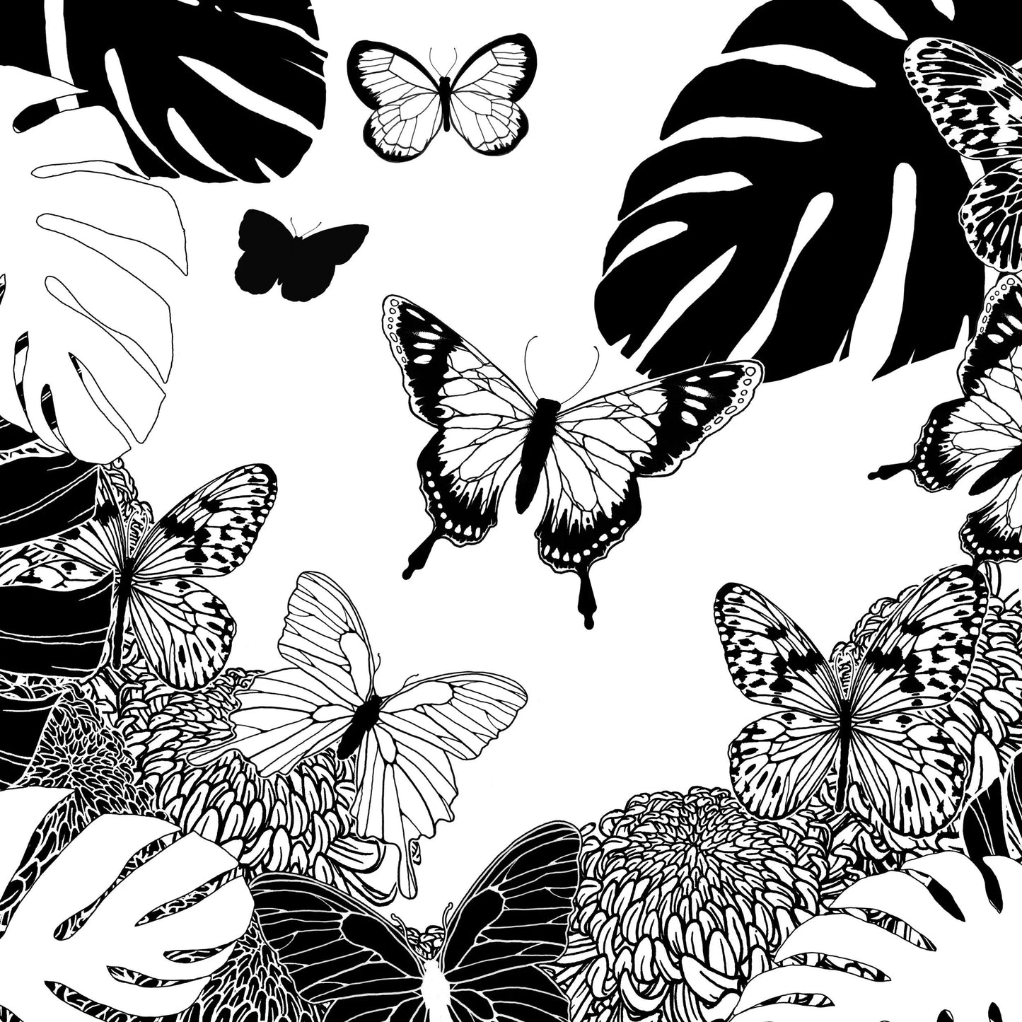 COLORING, libretto di 36 pagine 120g/m2 in formato 20x20cm - Farfalle (Pacchetto x5)
