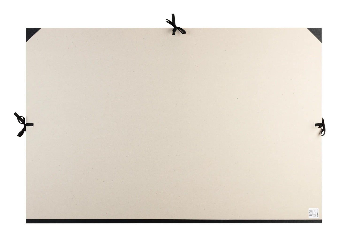 Brut drawing cardboard 3 cords 78x118cm with handle - Grey (Pack x2)