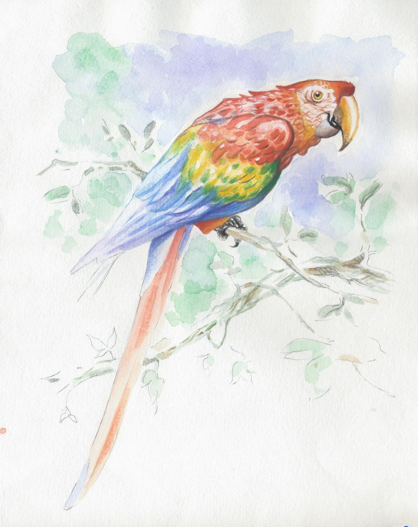 Watercolor Pre-designed Animals blocco incollato 15F 30x40cm 300g (Pacchetto x5)