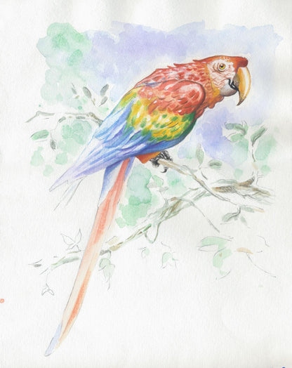 Watercolor Pre-designed Animals block glued 15F 30x40cm 300g (in bundle 5)