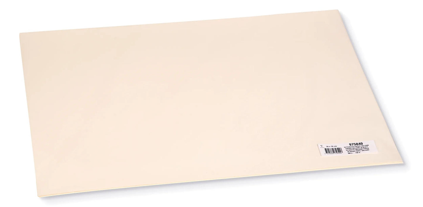 Salland-Packung Fransen Kanten 10F 56x76cm 300g (Paket x2)