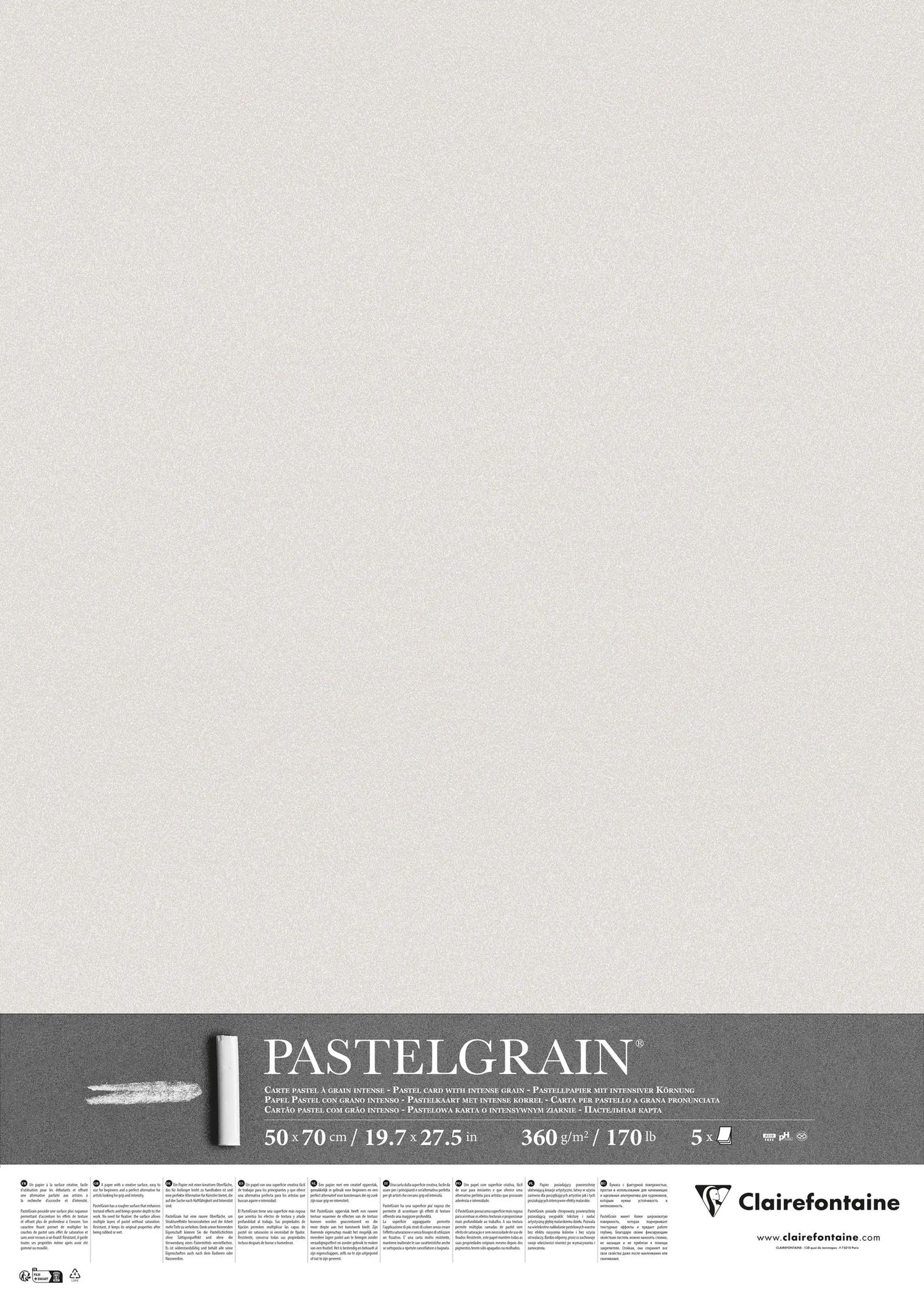 PastelGrain package 5F 50x70cm 360g - Light grey
