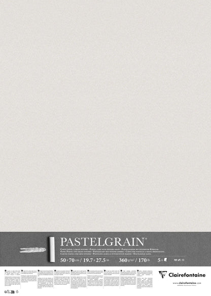 PastelGrain paquet 5F 50x70cm 360g - Gris clair