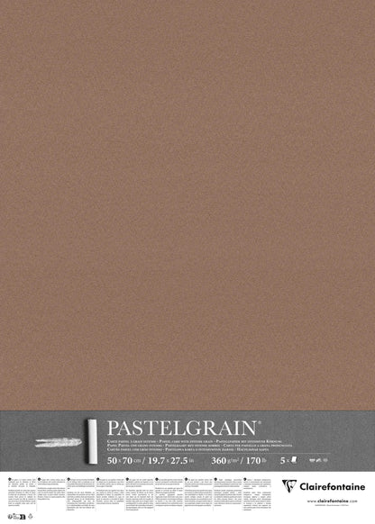 PastelGrain paquet 5F 50x70cm 360g - Brun