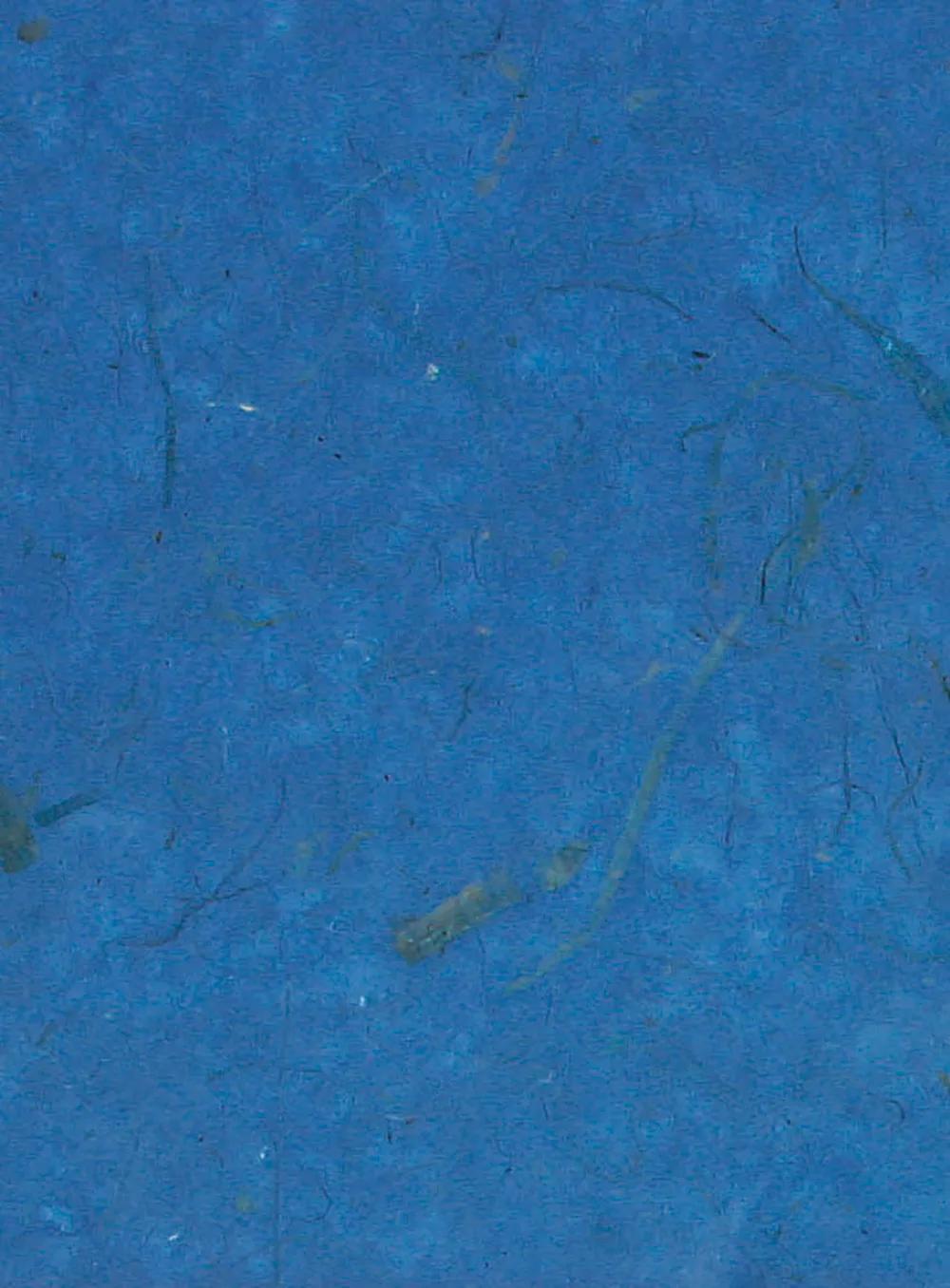 BANANE PAPER, 10 Blatt Gehäuse im 65x95cm Format - Bleu France