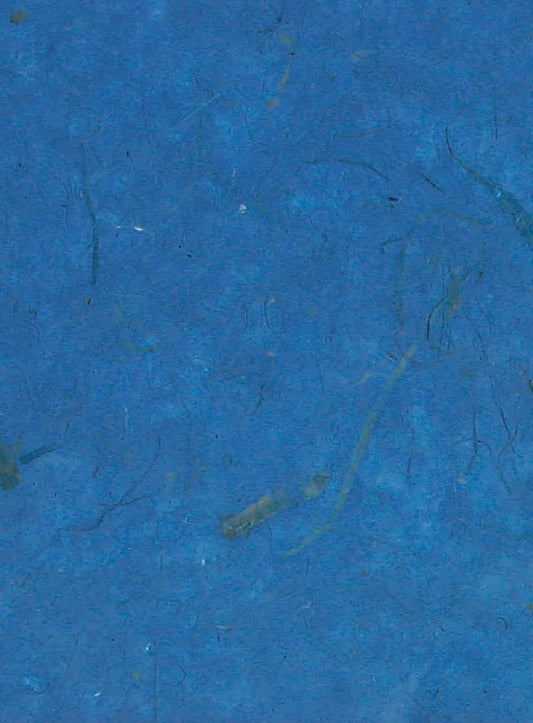 BANANE PAPER, 10 Blatt Gehäuse im 65x95cm Format - Bleu France