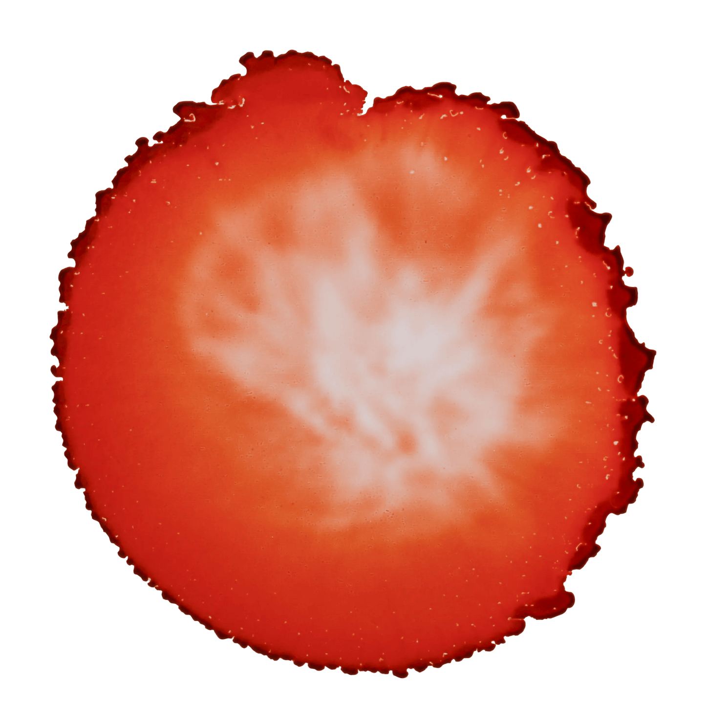 Alcohol ink cernit 20 ml Rust - Rust 775 (Pack x6)