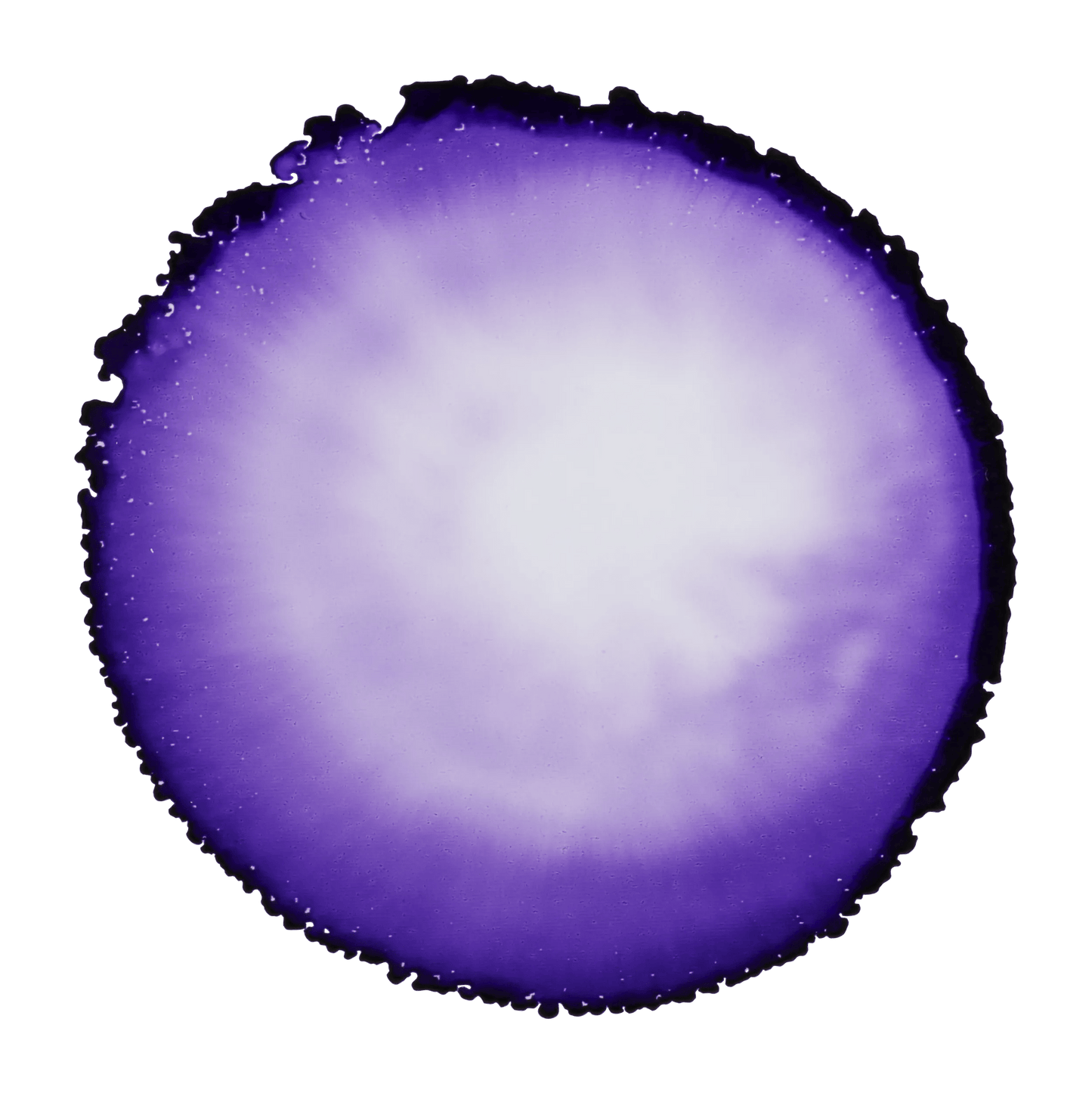 Violet - Violet 900 (Pack x6)