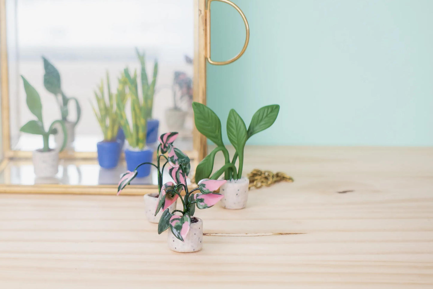 Starter kit, mini plants