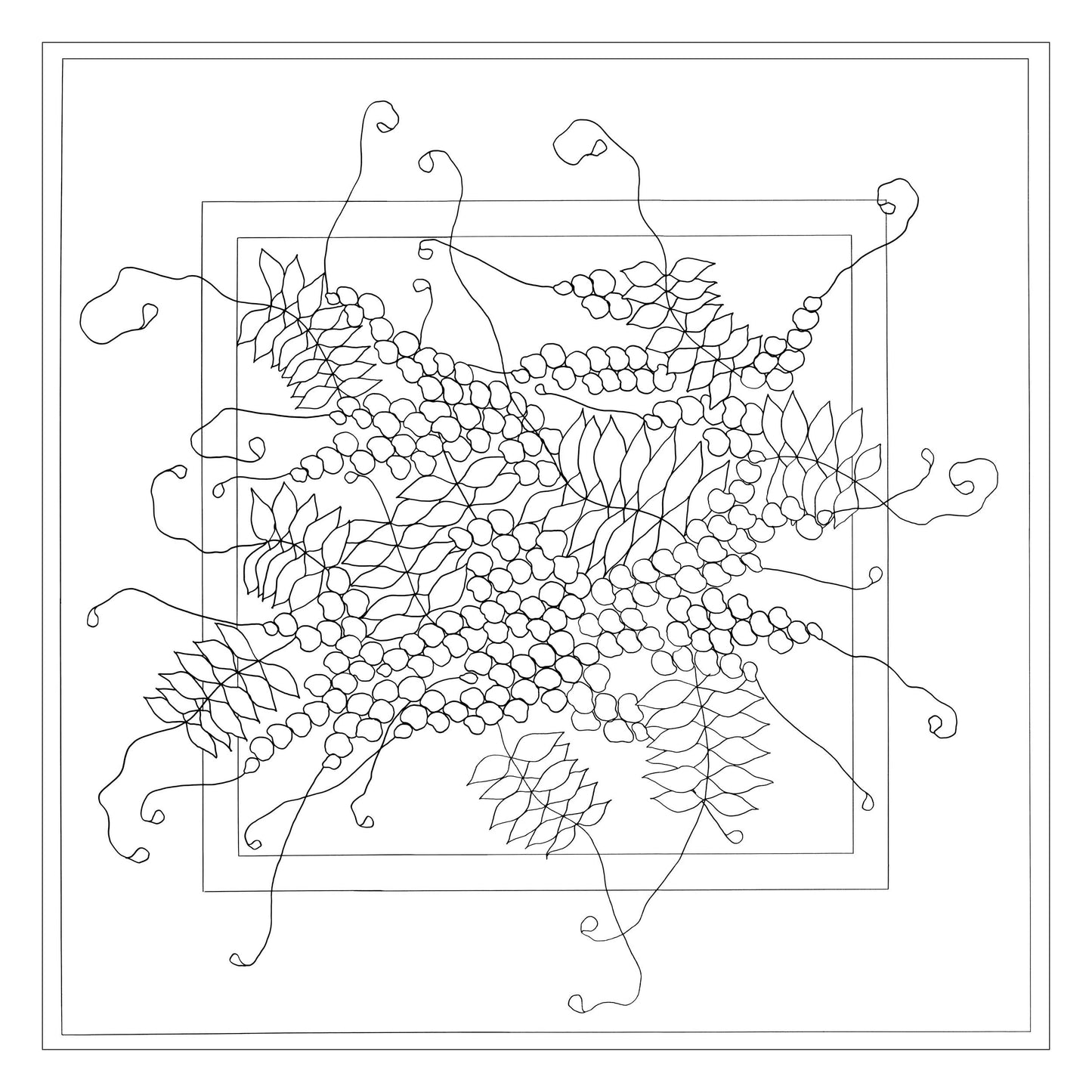 Square 100% silk - 90x90cm Glycine - White (Pack x3)