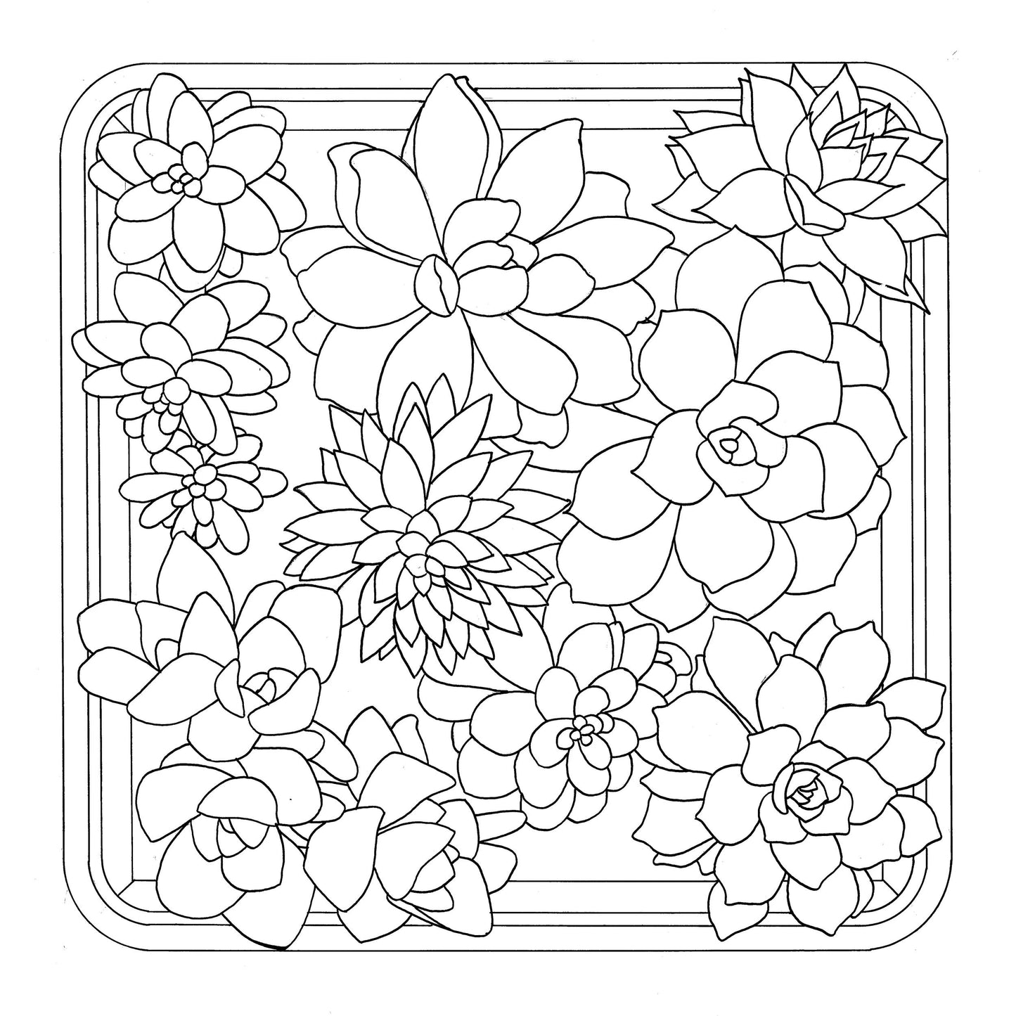 Cushion 100% silk - 40x40cm Succulentes - White (Pack x3)