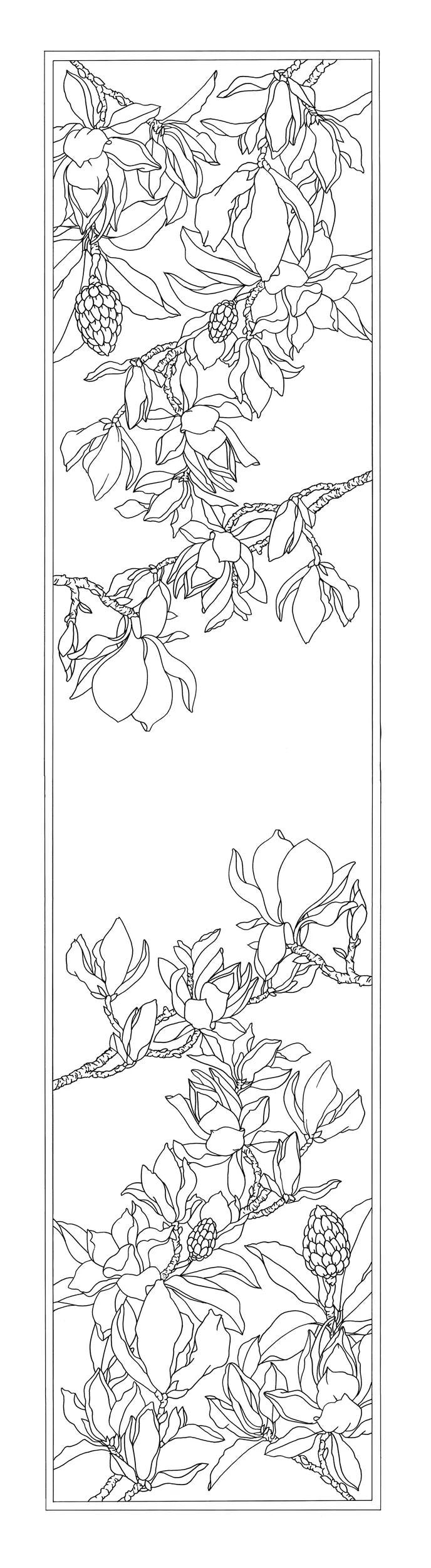 100% silk scarf - 145x43cm Magnolias - White (Pack x3)
