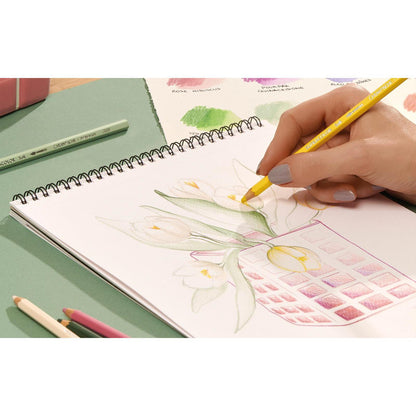 Scatola da 18 colori SUPRACOLOR™ Aquarelle – Edizione Speciale
