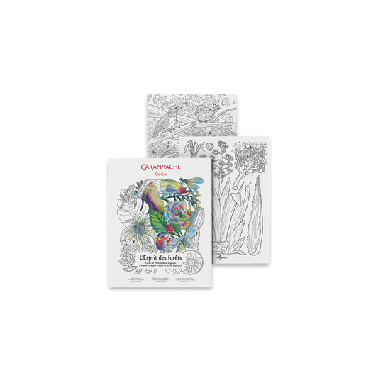 Colouring book FSC™ - L'ESPRIT DES FORÊTS