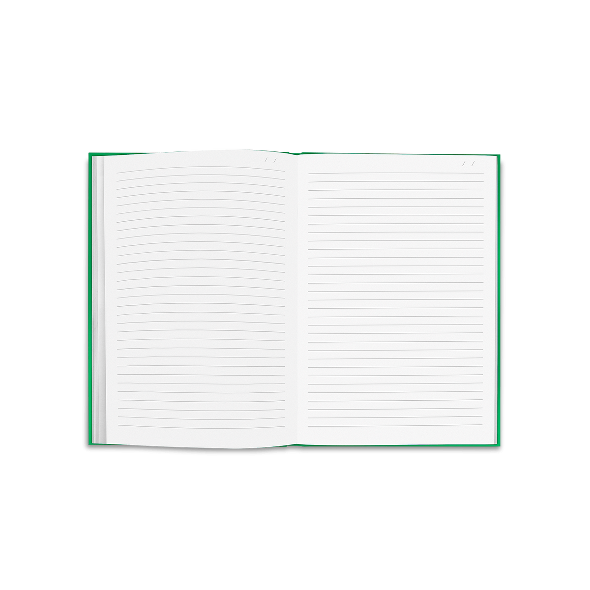 Notizbuch COLORMAT-X A5 Grün