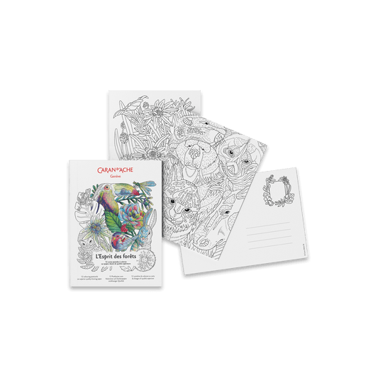 Colouring postcards FSC™ - L'ESPRIT DES FORÊTS