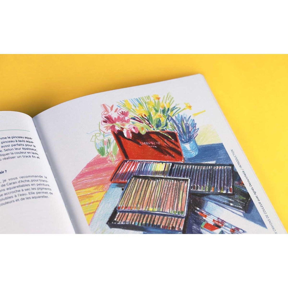 Livre « Dessiner aux crayons de couleurs avec Agnès Decourchelle » Version Française